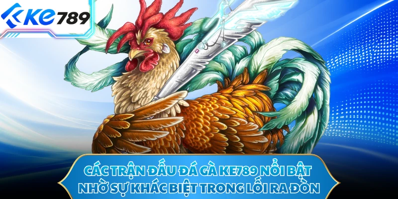 Các trận đấu đá gà Ke789 nổi bật nhờ sự khác biệt trong lối ra đòn