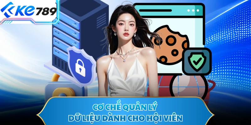 Cơ chế quản lý dữ liệu dành cho hội viên