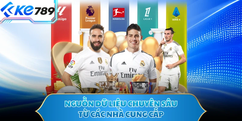 Nguồn dữ liệu chuyên sâu từ các nhà cung cấp